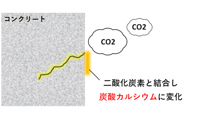 エフロレッセンス　発生プロセス