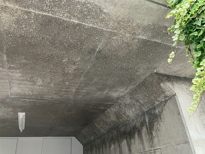 天井 白華現象 エフロレッセンス 車 白い液体 白い粉 駐車場 施工完了 施工後 1ヶ月経過