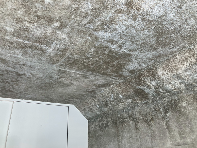 天井 白華現象 エフロレッセンス