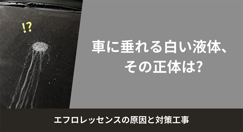 エフロレッセンス　車　垂れている　白い液体