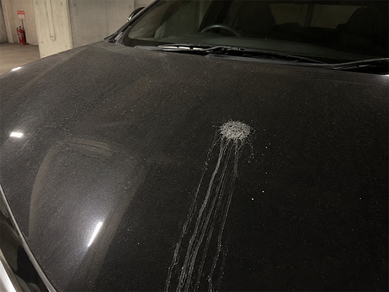 車 エフロレッセンス 白い液体 白い粉